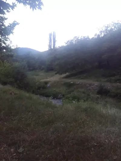 Автокъща АУТОАКТИВ