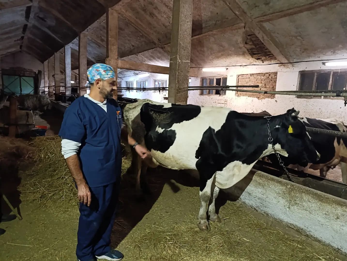 Ветеринарна клиника -Ескулап/Veterinary Clinic for Emergency Medicine