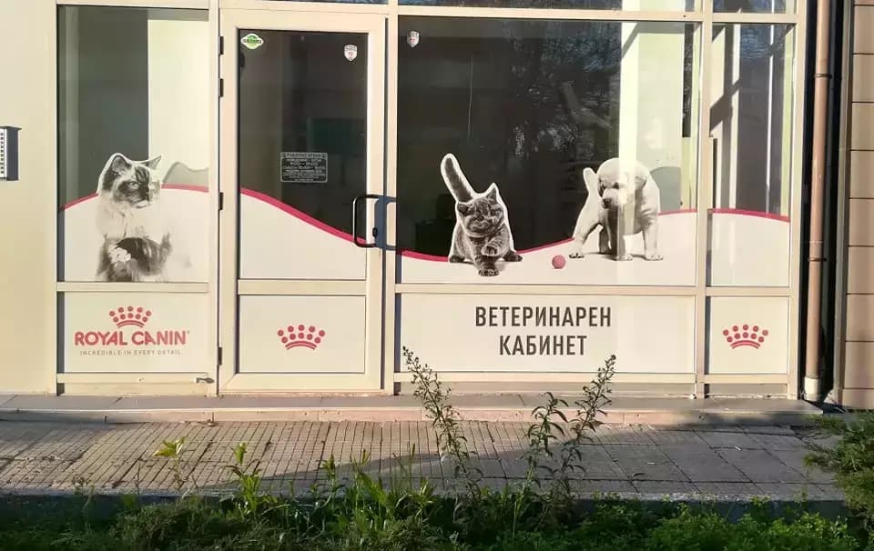 Ветеринарен кабинет "City vet"