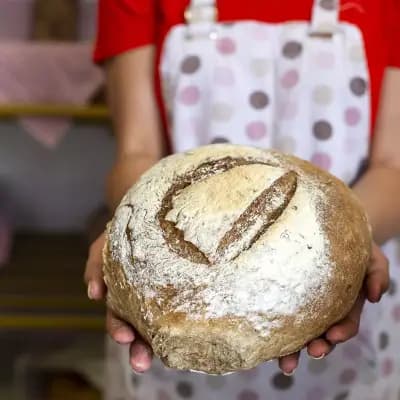 Бейкъри Арт ООД