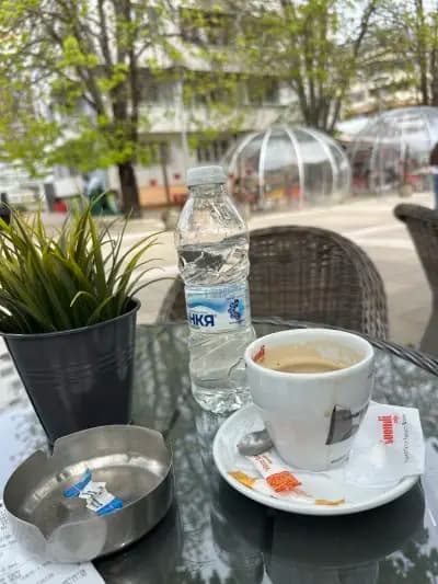 Бакарди