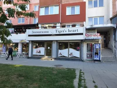 Тигър