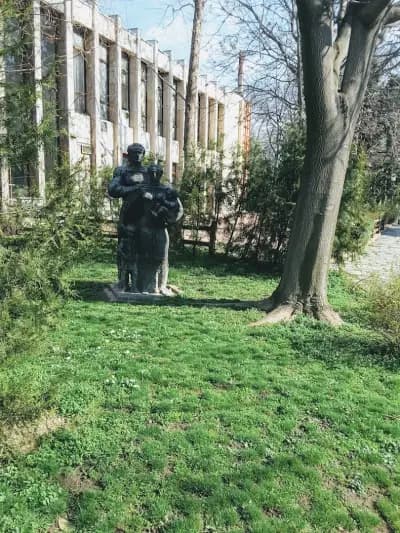 РАДОСТНИ ОБРЕДИ