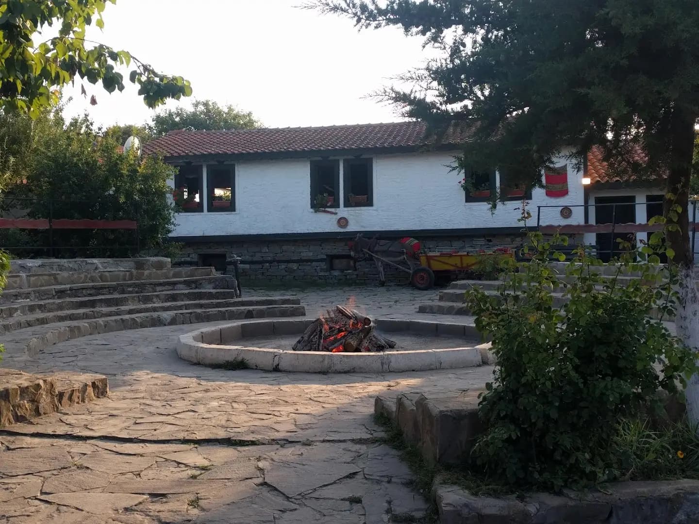 Хотел за кучета и котки Бургас