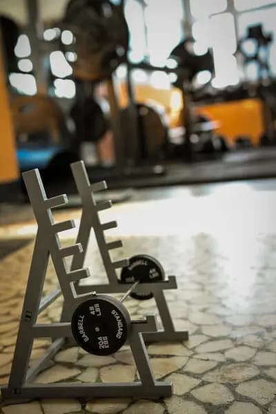 Shark Gym Varna