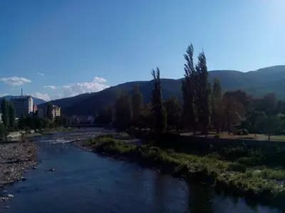ПАЗАР АСЕНИЦА