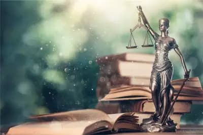 Адвокатска кантора Даниела Ненкова