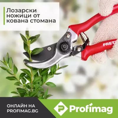Profimag