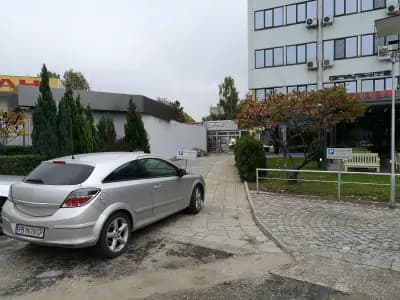 САРИС