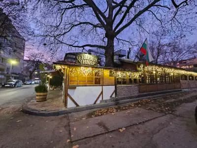 Стария Чинар Македония