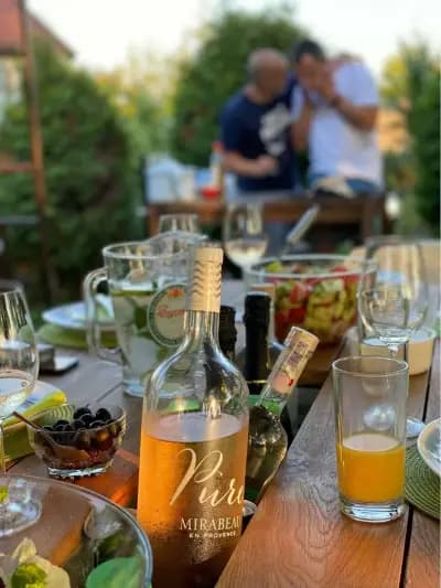 Studyo del Vino