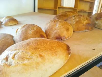 Хлебопекарна Хляб с квас
