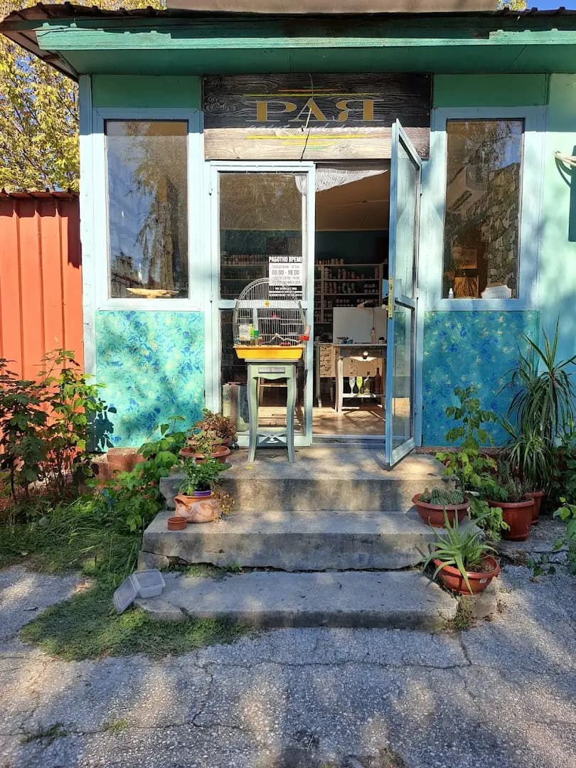 Рая Дизайн / Raya Design Art Materials and Paint