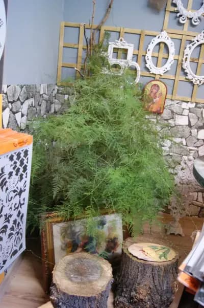 Рая Дизайн / Raya Design Art Materials and Paint