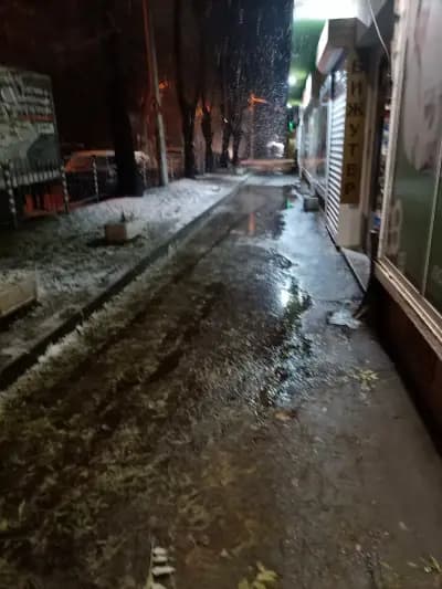 РИНФАРМ - Бети