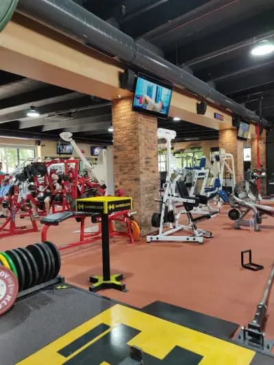 Hammer Gym Center