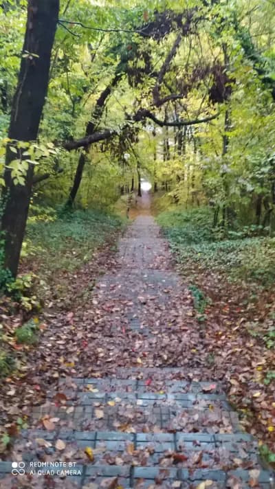 Специализирана белодробна болница Царица Йоанна