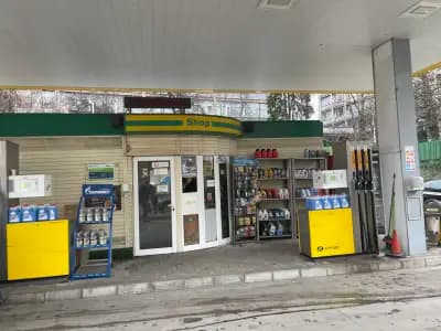 Круиз Гео Милев