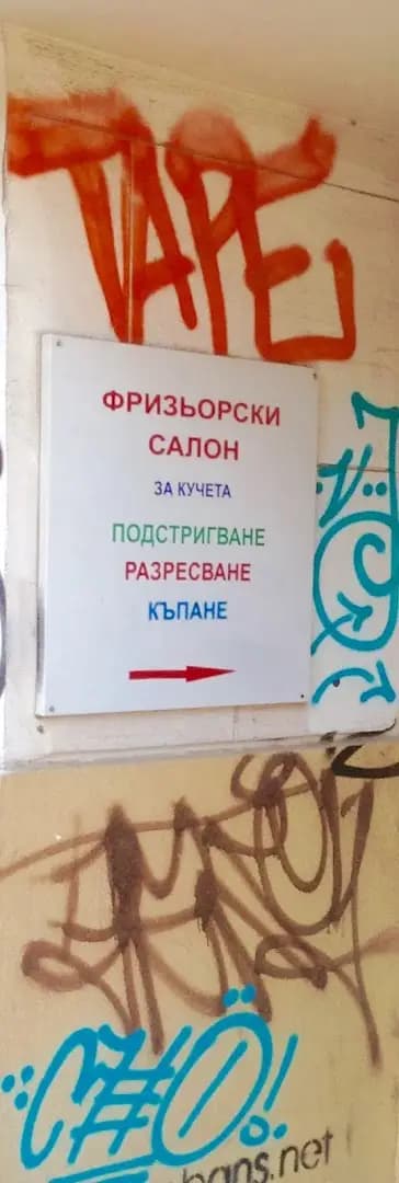 Зоомагазин Джунгла