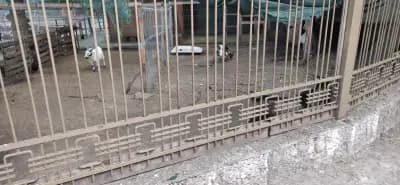 Контактен парк „Зайо“