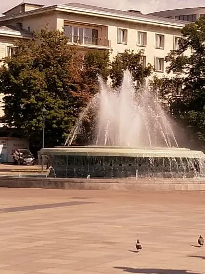 АПИДП Д-Р РОСИЦА КОЛЕВА