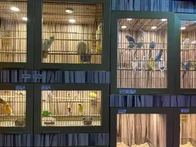 Зоомагазин ZOO CENTER Солунска