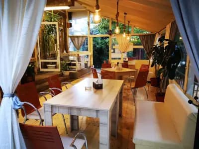 Bistro Like food