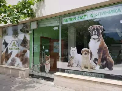 Ветеринарна клиника Витоша