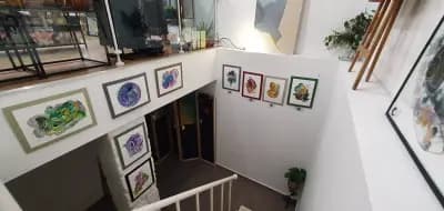 Gallery23 Varna