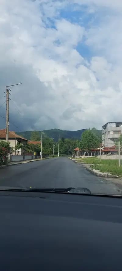 Камелиите
