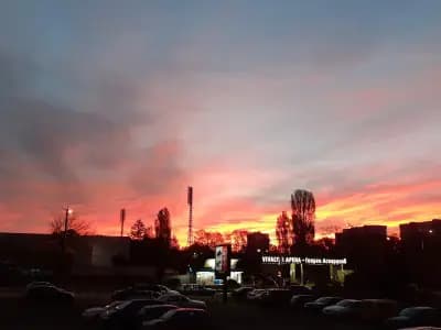 ЕКО