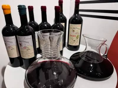 Wine Generator - Bulgarian wine Hub