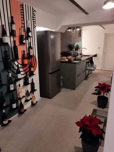 Wine Generator - Bulgarian wine Hub