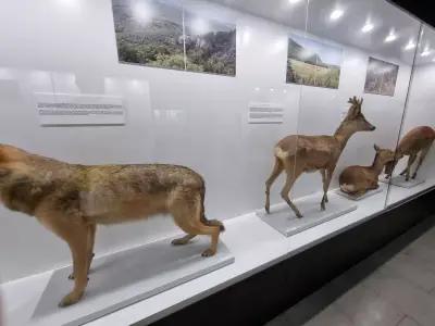 Природонаучен музей Бургас