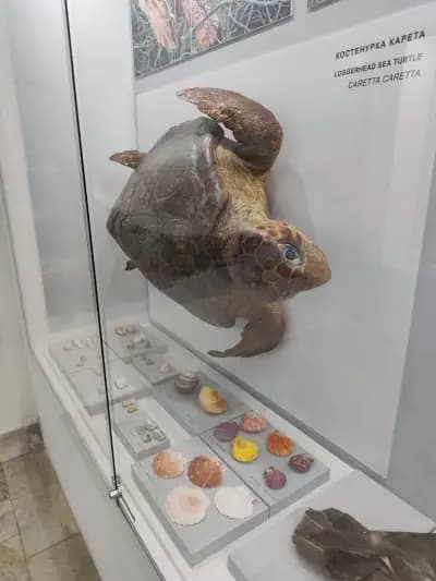 Природонаучен музей Бургас