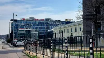 Волф Тайс
