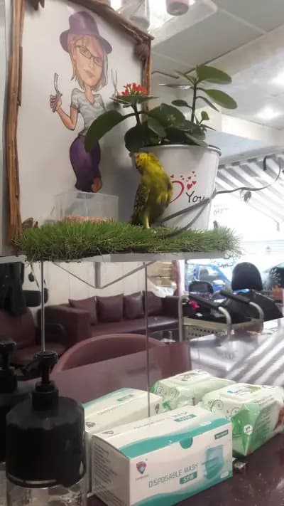 Beauty Salon "New Look"