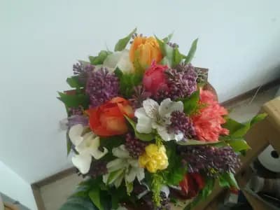 sunnyflor