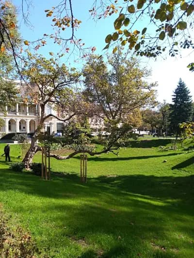Gradina Kristal