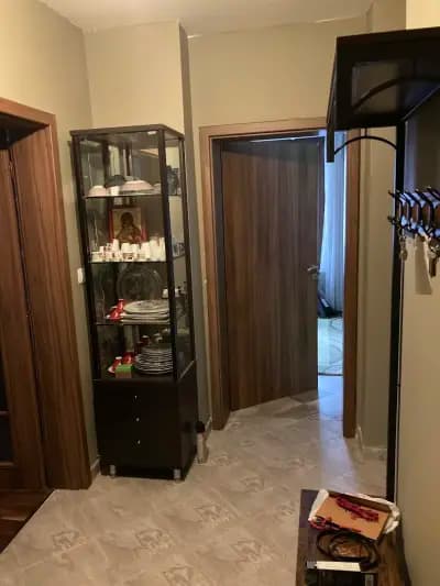 COLOR HOME