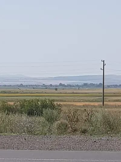 Петрол