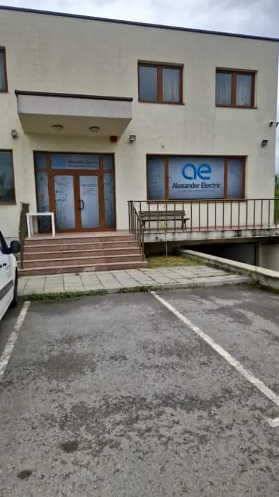 Александър Електрик