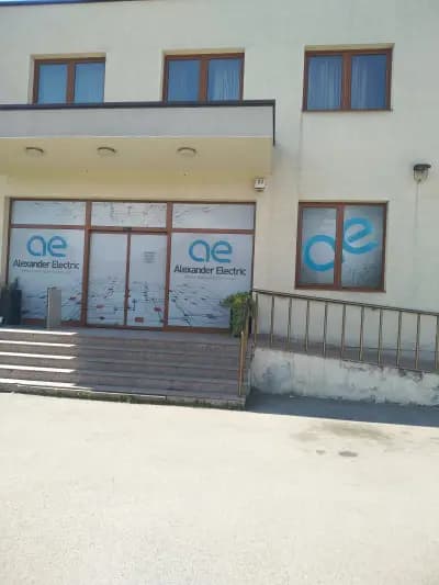Александър Електрик