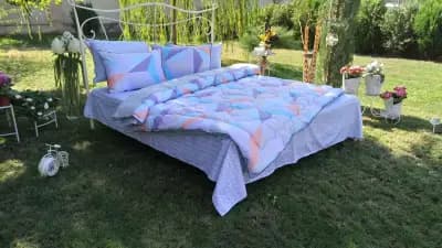 Roxyma Dream