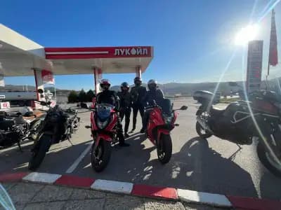 LUKOIL D409