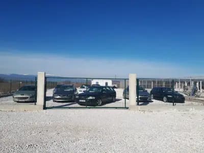 ELIT AUTO