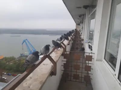 МБАЛ „Русе“