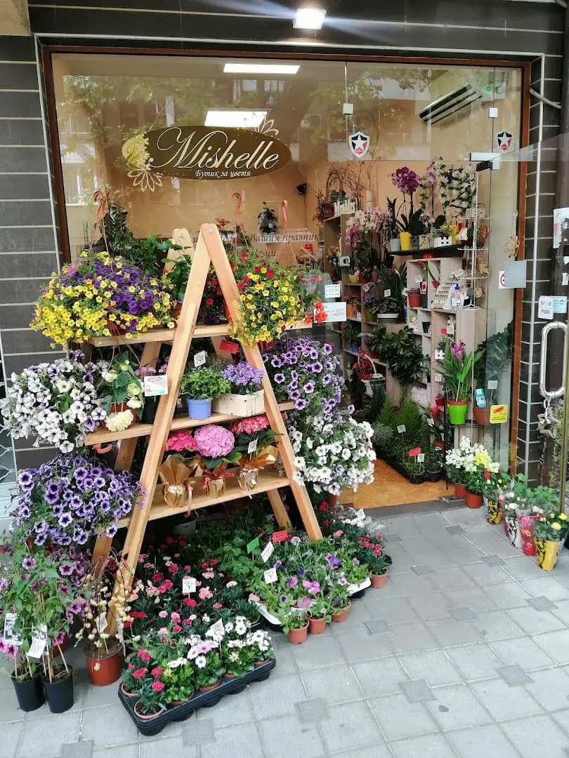 Магазин за цветя "Mishelle"