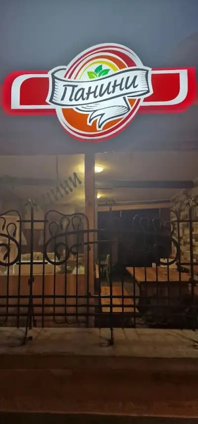 Панини