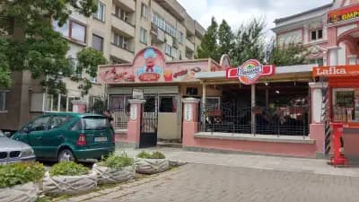 Панини